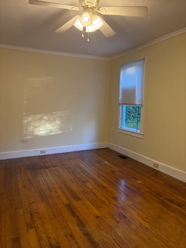 407 Hemphill St in Columbia, SC - Building Photo - Building Photo