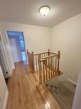 67 Springdale St in St John's, NL - Building Photo - Building Photo