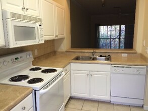 4886 NW 46th Pl in Gainesville, FL - Building Photo - Building Photo