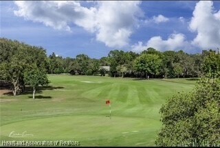 3611 Cormorant Point Dr in Sebring, FL - Building Photo - Building Photo