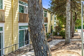 Pinewood Manor in Newport, OR - Foto de edificio - Building Photo