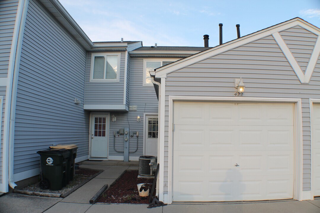 422 Meadow Green Ln in Round Lake Beach, IL - Building Photo