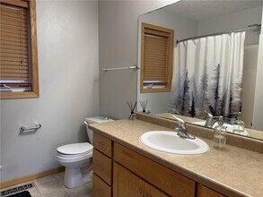 438 Lake Trail in Winsted, MN - Building Photo - Building Photo