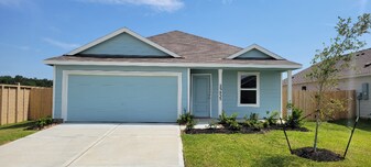 25432 Birch Ln in Cleveland, TX - Building Photo