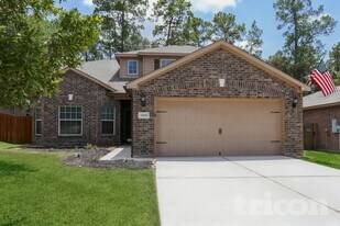 30906 Sweetwater Cir in Magnolia, TX - Building Photo