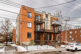875 Saint-Louis St in Montréal, QC - Building Photo