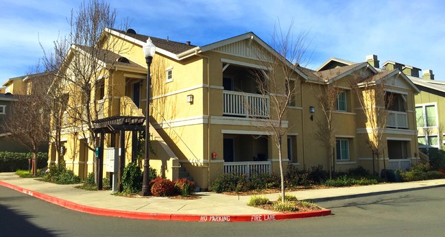 Santero Way Apartments in Cotati, CA - Building Photo - Building Photo