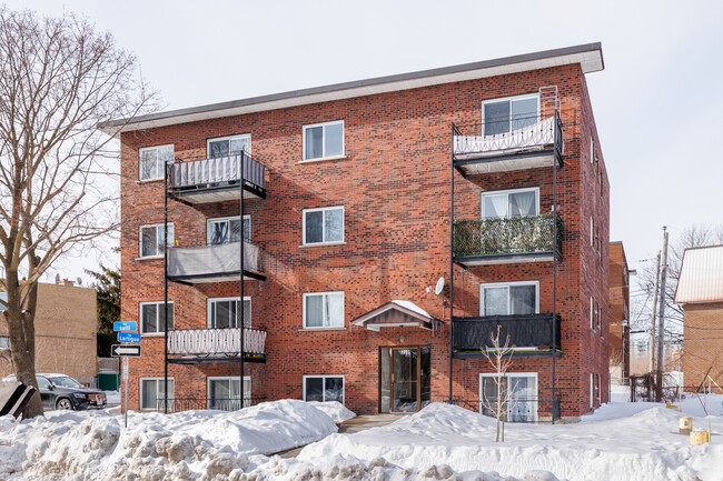 310 Lulli Rue