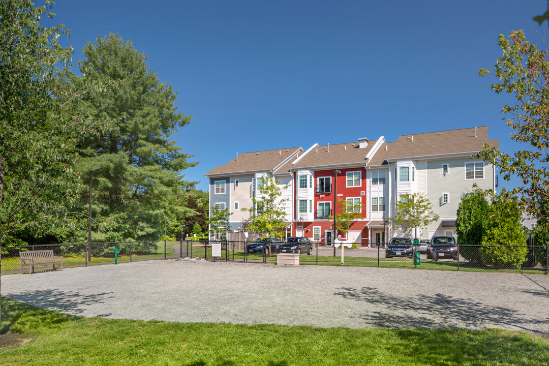 The Village at Taylor Pond in Bedford, MA - Building Photo