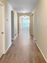 129 Colt Loop in Kyle, TX - Building Photo