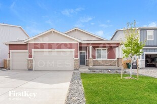 14593 Normande Dr in Mead, CO - Building Photo