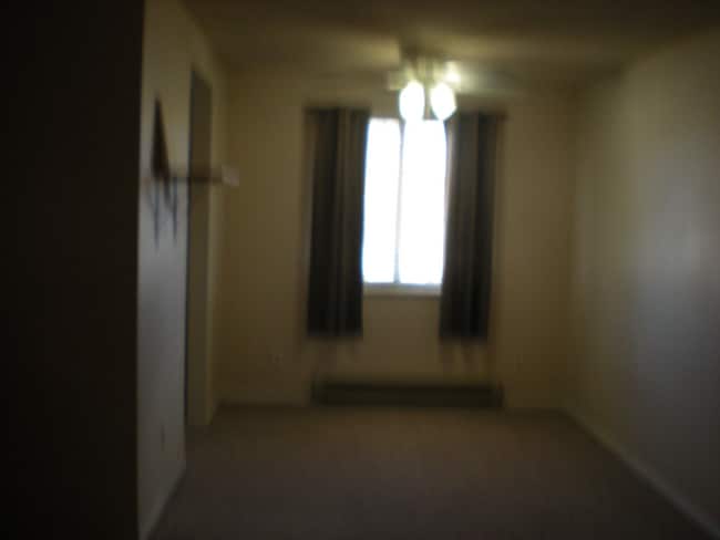 114 Glenda Dr in Loveland, CO - Foto de edificio - Building Photo
