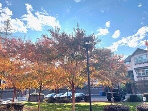 9 Shreve Ln in Lafayette, CA - Building Photo - Building Photo