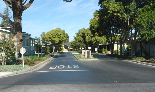 Quail Hollow in San Jose, CA - Foto de edificio - Building Photo