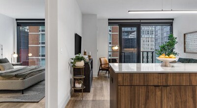 209 E Grand Ave in Chicago, IL - Building Photo - Building Photo