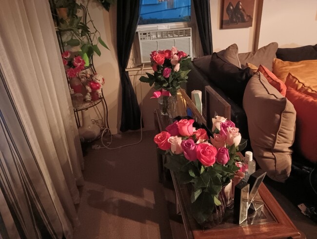 property at 419 Fremont St