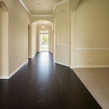 905 Avian Dr in McKinney, TX - Building Photo - Building Photo