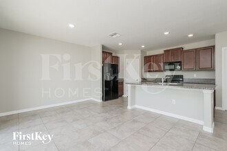 4313 Globe Thistle Dr in Tampa, FL - Building Photo - Building Photo