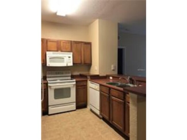 8103 Lillies Way in Orlando, FL - Building Photo - Building Photo