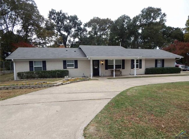 409 Ronnette Dr in Tyler, TX - Foto de edificio - Building Photo