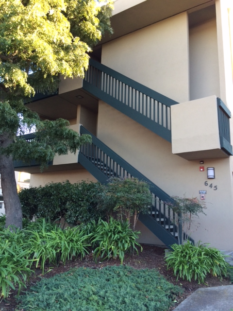 645 Rollins Rd, Unit 3 in Burlingame, CA - Building Photo - Building Photo