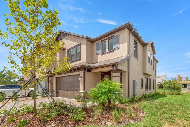 4619 Almada Ln in Wesley Chapel, FL - Building Photo - Building Photo