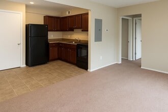 Koeneman Place Apartments in St. Louis, MO - Building Photo - Building Photo