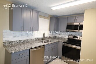 4612 Belfast Dr in New Port Richey, FL - Building Photo - Building Photo