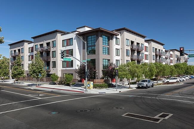 Mio in San Jose, CA - Building Photo - Building Photo
