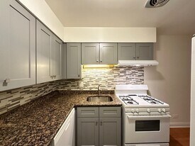 3732 N Pine Grove Ave, Unit A01W in Chicago, IL - Building Photo