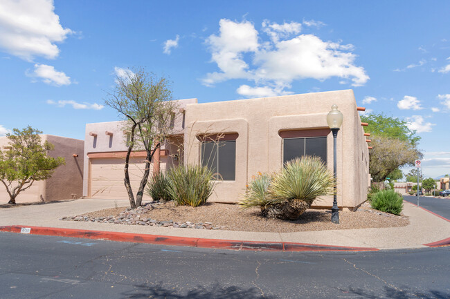3730 N Bay Horse Loop in Tucson, AZ - Building Photo - Building Photo