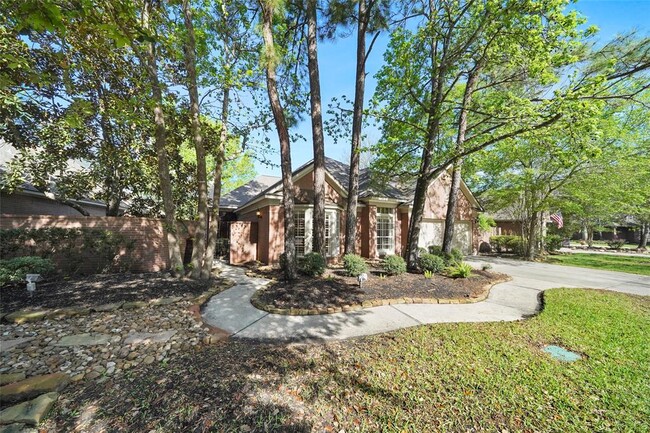 39 Wild Meadow Ct in Spring, TX - Building Photo - Building Photo