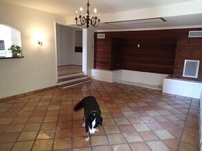 2047 Ivar Ave, Unit 2047 in Los Angeles, CA - Building Photo - Building Photo