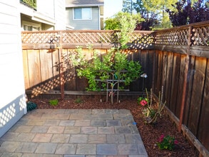 309 Catamaran Street in Foster City, CA - Building Photo - Building Photo