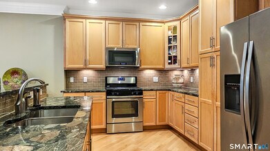 203 Center Meadow Ln in Danbury, CT - Building Photo - Building Photo