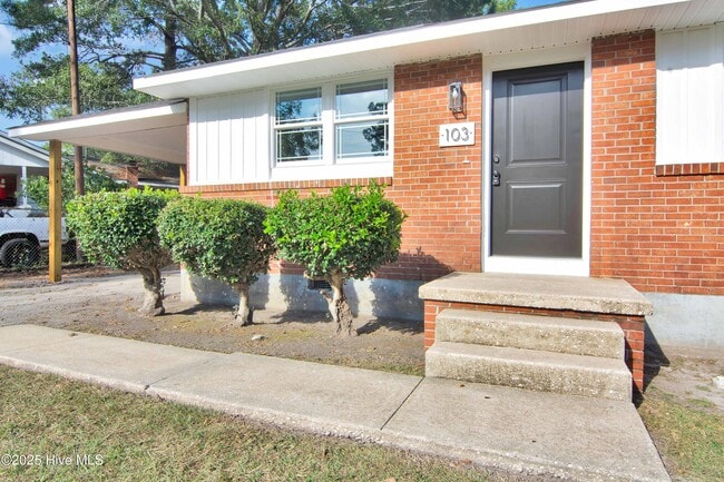 103 Armstrong Dr in Jacksonville, NC - Building Photo - Building Photo