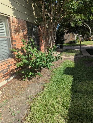 1805 W Spring Creek Pkwy in Plano, TX - Building Photo - Building Photo
