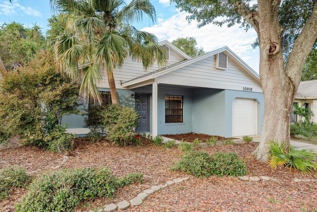 10918 Freemont Dr in New Port Richey, FL - Building Photo - Building Photo