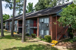 Paper Moon Apartments in Huntsville, TX - Building Photo