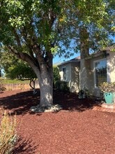 498 Patch Ave in San Jose, CA - Foto de edificio - Building Photo