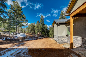 756 Impala Trail in Bailey, CO - Building Photo - Building Photo