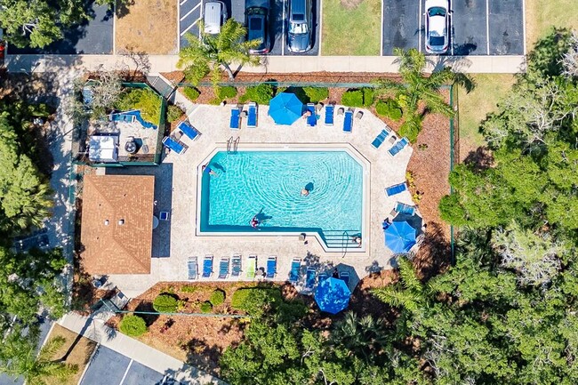 303 Woodlake Wynde in Oldsmar, FL - Building Photo - Building Photo