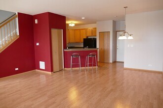 205 Springbrook Trail S in Oswego, IL - Building Photo - Building Photo