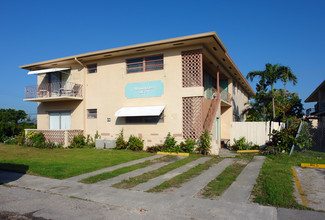 Ramini Villas in Miami, FL - Building Photo - Building Photo