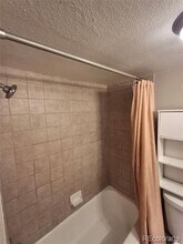 1196 N Grant St in Denver, CO - Building Photo - Building Photo