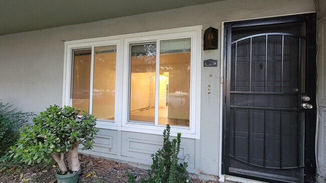 289 Jose Figueres Ave in San Jose, CA - Building Photo - Building Photo