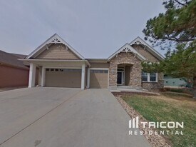 1607 Wild Blossom Way in Castle Rock, CO - Building Photo
