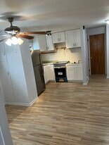 43 Sycamore St, Unit 2 in Albany, NY - Building Photo