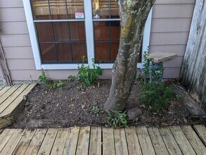 17303 Saturn Ln in Houston, TX - Building Photo - Building Photo