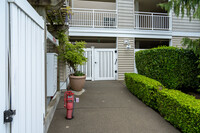 Riverfront Condos in Bothell, WA - Building Photo - Building Photo